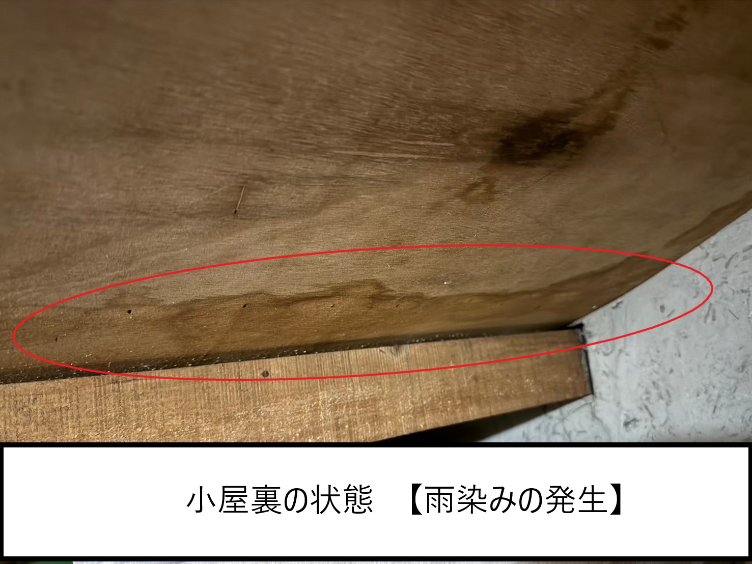 S様　小屋裏の状態　雨染みの発生